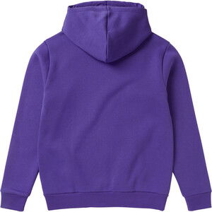 2024 Mystic Mnner Icon Hood Sweater 35104.230131 - Purple